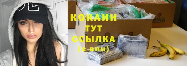 тгк Алзамай