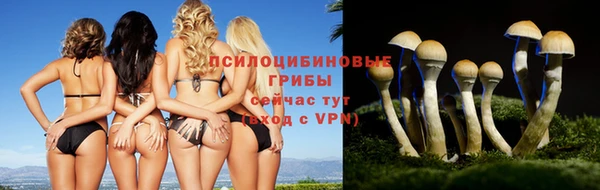 тгк Алзамай