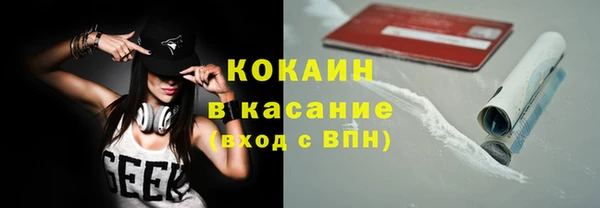 крисы Алексин