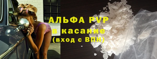 крисы Алексин