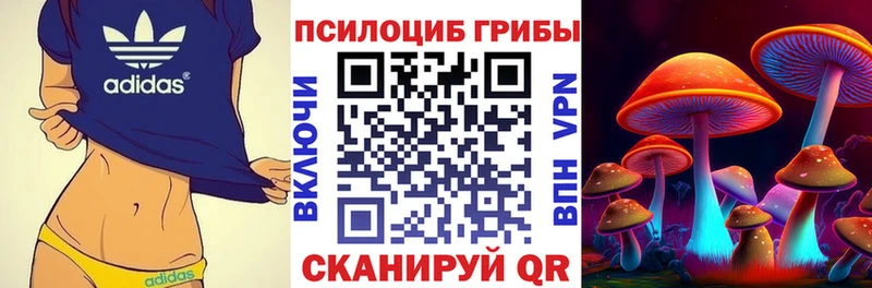 Псилоцибиновые грибы мицелий  где купить наркоту  Клин 